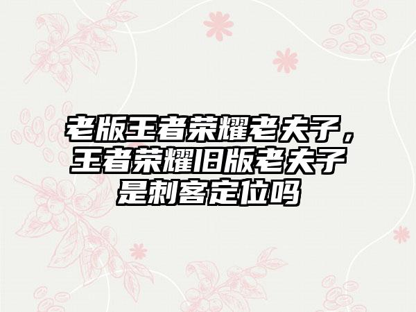 老版王者荣耀老夫子，王者荣耀旧版老夫子是刺客定位吗