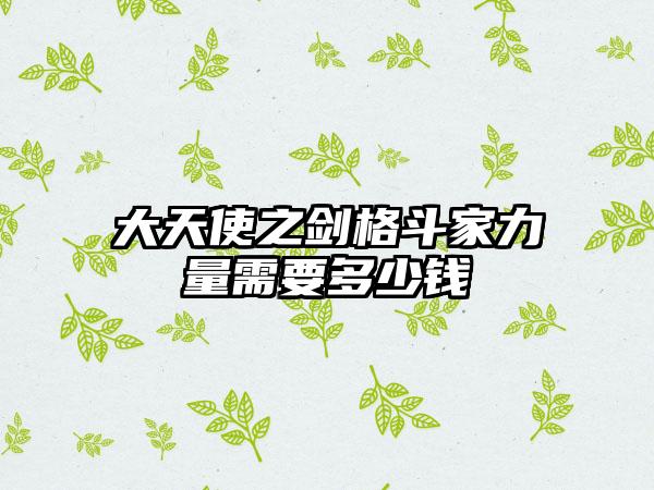 大天使之剑格斗家力量需要多少钱