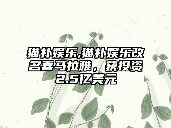 猫扑娱乐,猫扑娱乐改名喜马拉雅，获投资2.5亿美元