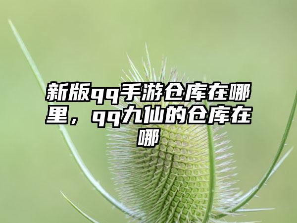 新版qq手游仓库在哪里，qq九仙的仓库在哪