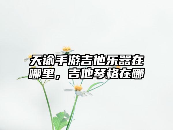 天谕手游吉他乐器在哪里，吉他琴格在哪