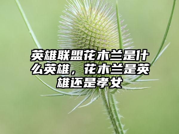 英雄联盟花木兰是什么英雄，花木兰是英雄还是孝女