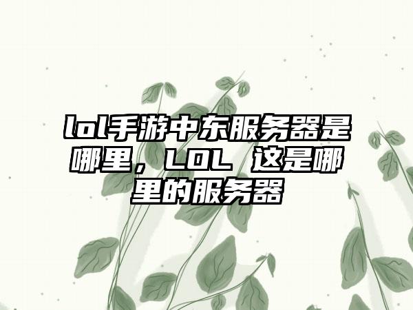 lol手游中东服务器是哪里，LOL 这是哪里的服务器