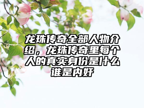 龙珠传奇全部人物介绍，龙珠传奇里每个人的真实身份是什么谁是内奸