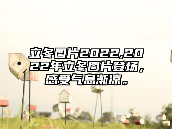 立冬图片2022,2022年立冬图片登场，感受气息渐凉。