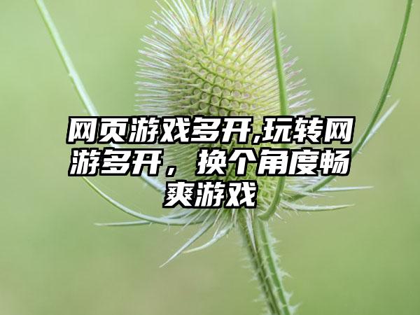 网页游戏多开,玩转网游多开，换个角度畅爽游戏