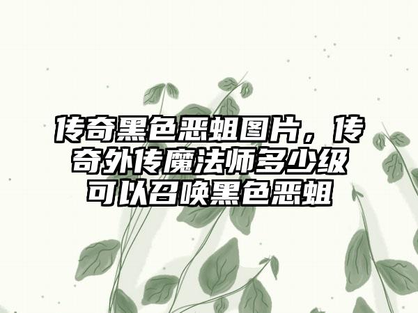 传奇黑色恶蛆图片，传奇外传魔法师多少级可以召唤黑色恶蛆