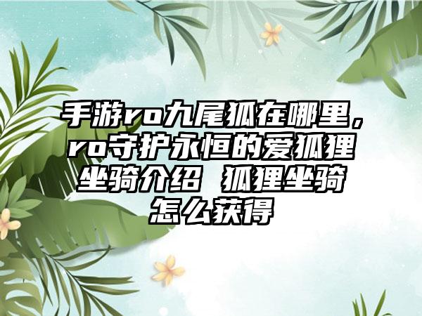 手游ro九尾狐在哪里，ro守护永恒的爱狐狸坐骑介绍 狐狸坐骑怎么获得