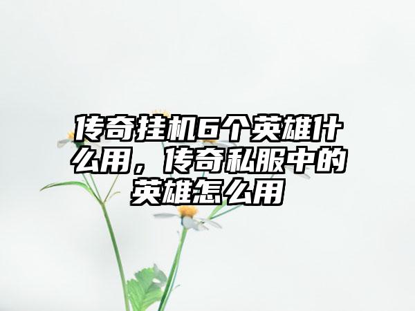 传奇挂机6个英雄什么用，传奇私服中的英雄怎么用