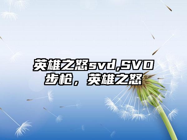 英雄之怒svd,SVD步枪，英雄之怒