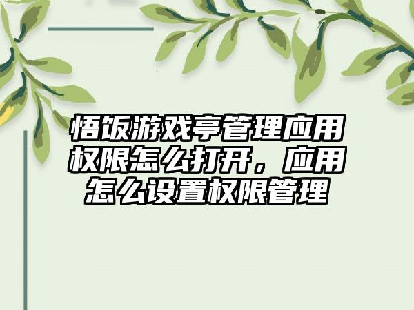 悟饭游戏亭管理应用权限怎么打开，应用怎么设置权限管理