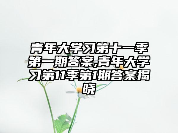 青年大学习第十一季第一期答案,青年大学习第11季第1期答案揭晓