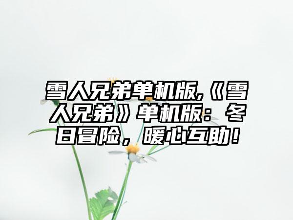 雪人兄弟单机版,《雪人兄弟》单机版：冬日冒险，暖心互助！