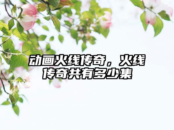 动画火线传奇，火线传奇共有多少集