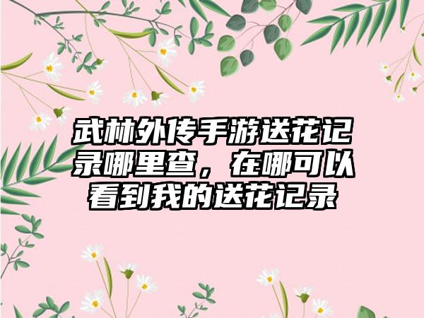 武林外传手游送花记录哪里查，在哪可以看到我的送花记录