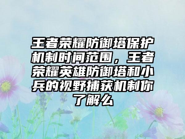 王者荣耀防御塔保护机制时间范围，王者荣耀英雄防御塔和小兵的视野捕获机制你了解么