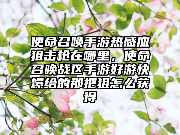 使命召唤手游热感应狙击枪在哪里，使命召唤战区手游好游快爆给的那把狙怎么获得
