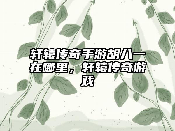 轩辕传奇手游胡八一在哪里，轩辕传奇游戏