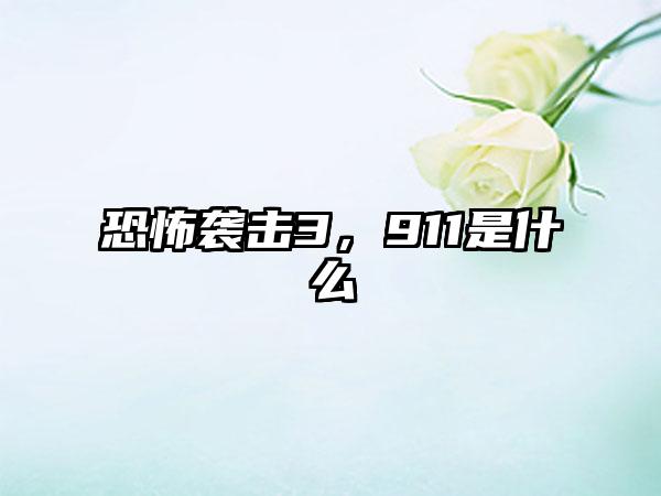 恐怖袭击3，911是什么