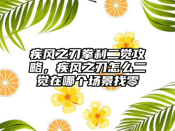 疾风之刃拳刹二觉攻略，疾风之刃怎么二觉在哪个场景找零
