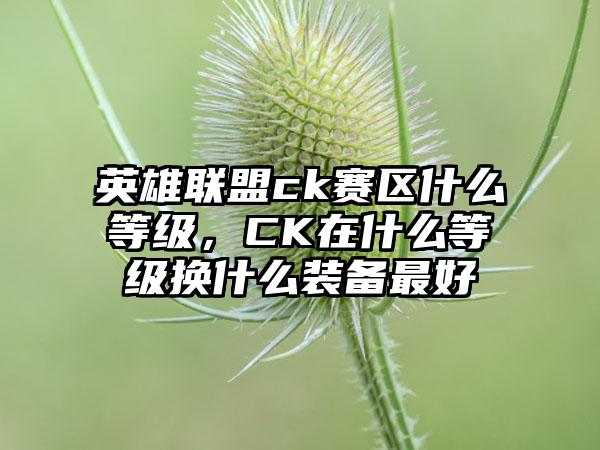 英雄联盟ck赛区什么等级，CK在什么等级换什么装备最好
