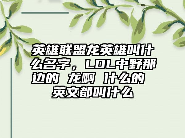 英雄联盟龙英雄叫什么名字，LOL中野那边的 龙啊 什么的 英文都叫什么