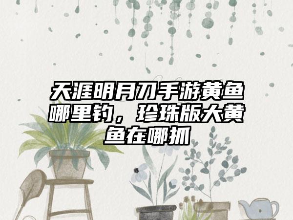 天涯明月刀手游黄鱼哪里钓，珍珠版大黄鱼在哪抓