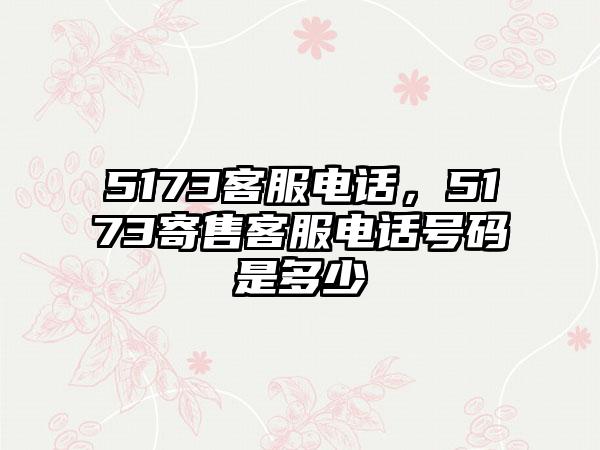 5173客服电话，5173寄售客服电话号码是多少