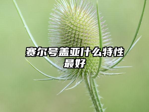 赛尔号盖亚什么特性最好