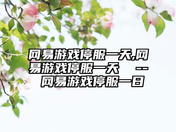 网易游戏停服一天,网易游戏停服一天  -- 网易游戏停服一日