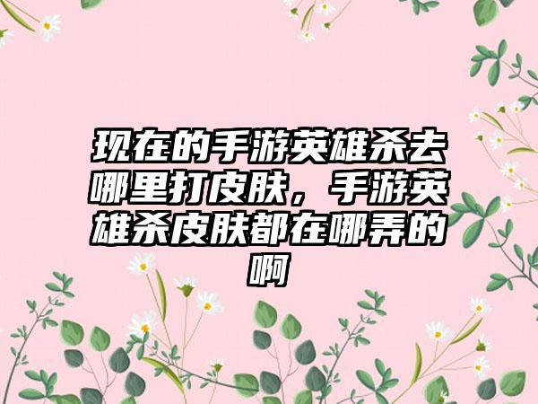 现在的手游英雄杀去哪里打皮肤，手游英雄杀皮肤都在哪弄的啊