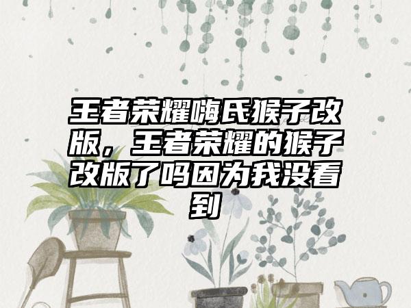 王者荣耀嗨氏猴子改版，王者荣耀的猴子改版了吗因为我没看到