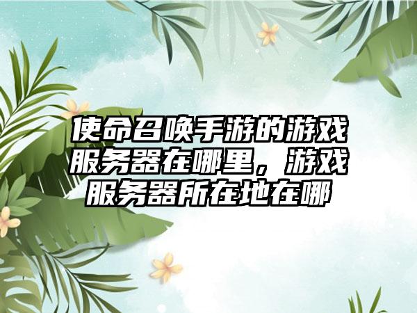 使命召唤手游的游戏服务器在哪里，游戏服务器所在地在哪