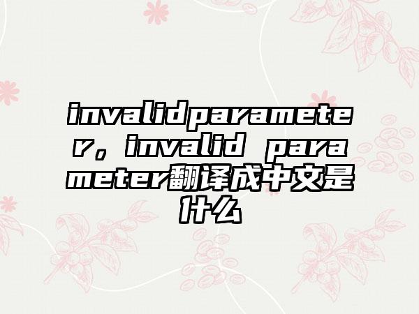 invalidparameter，invalid parameter翻译成中文是什么