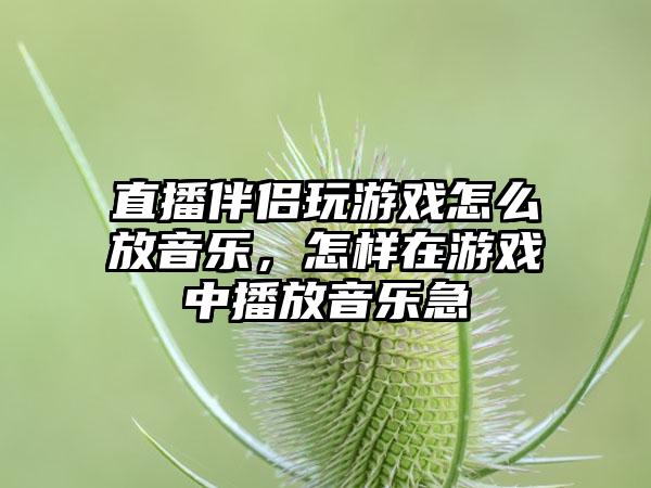 直播伴侣玩游戏怎么放音乐，怎样在游戏中播放音乐急