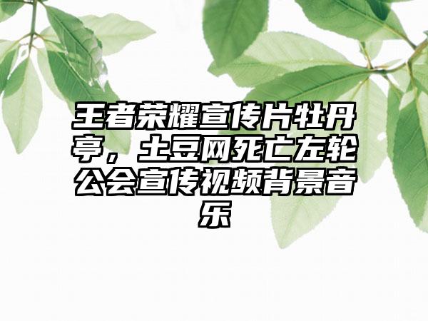 王者荣耀宣传片牡丹亭，土豆网死亡左轮公会宣传视频背景音乐