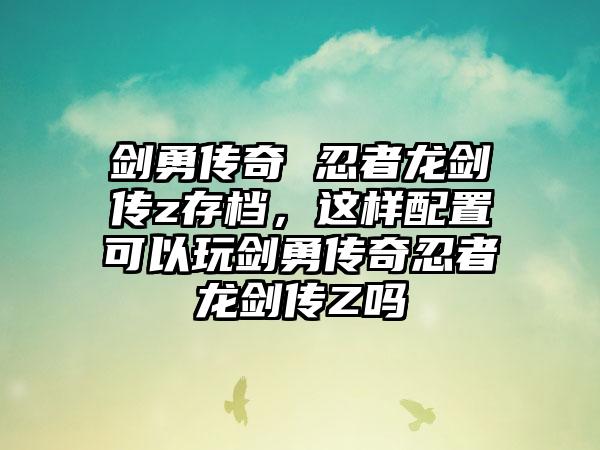 剑勇传奇 忍者龙剑传z存档，这样配置可以玩剑勇传奇忍者龙剑传Z吗