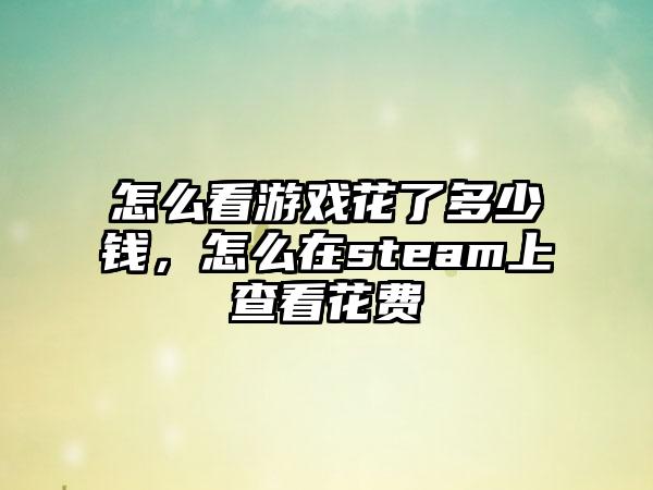 怎么看游戏花了多少钱，怎么在steam上查看花费