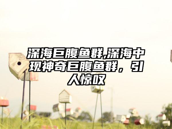 深海巨腹鱼群,深海中现神奇巨腹鱼群，引人惊叹