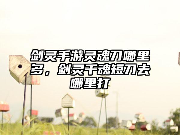 剑灵手游灵魂刀哪里多，剑灵千魂短刀去哪里打