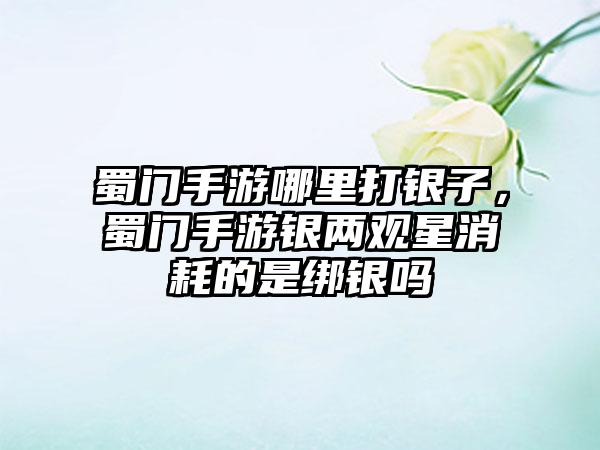 蜀门手游哪里打银子，蜀门手游银两观星消耗的是绑银吗