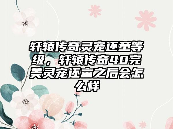 轩辕传奇灵宠还童等级，轩辕传奇40完美灵宠还童之后会怎么样