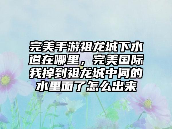 完美手游祖龙城下水道在哪里，完美国际我掉到祖龙城中间的水里面了怎么出来