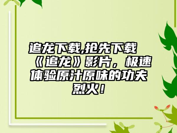 追龙下载,抢先下载《追龙》影片,极速体验原汁原味的功夫烈火!