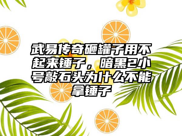 武易传奇砸罐子用不起来锤子，暗黑2小号敲石头为什么不能拿锤子