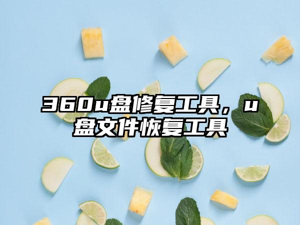 360u盘修复工具，u盘文件恢复工具