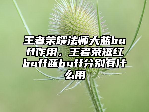王者荣耀法师大蓝buff作用，王者荣耀红buff蓝buff分别有什么用