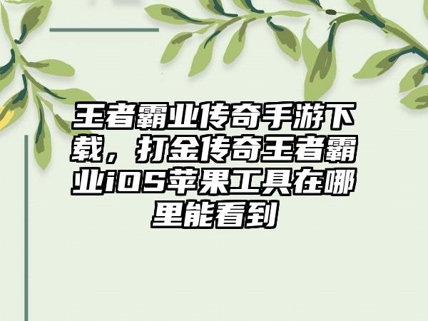 王者霸业传奇手游下载，打金传奇王者霸业iOS苹果工具在哪里能看到
