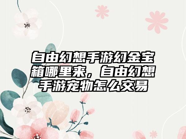 自由幻想手游幻金宝箱哪里来，自由幻想手游宠物怎么交易