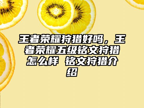 王者荣耀狩猎好吗，王者荣耀五级铭文狩猎怎么样 铭文狩猎介绍